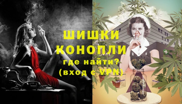 ГАЛЛЮЦИНОГЕННЫЕ ГРИБЫ Балабаново