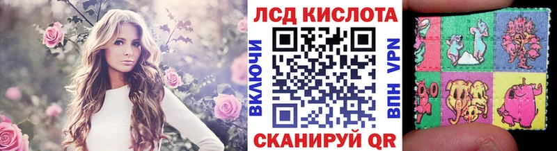 Марки NBOMe 1,5мг  где найти   omg рабочий сайт  darknet Telegram  Трубчевск 