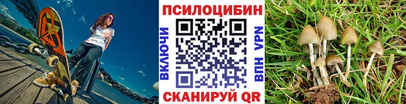 дарнет шоп Трубчевск Псилоцибиновые грибы прущие грибы